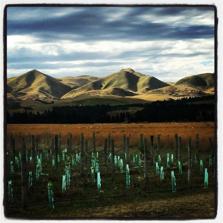 Romantic Vineyard Getaway Waipara ภายนอก รูปภาพ