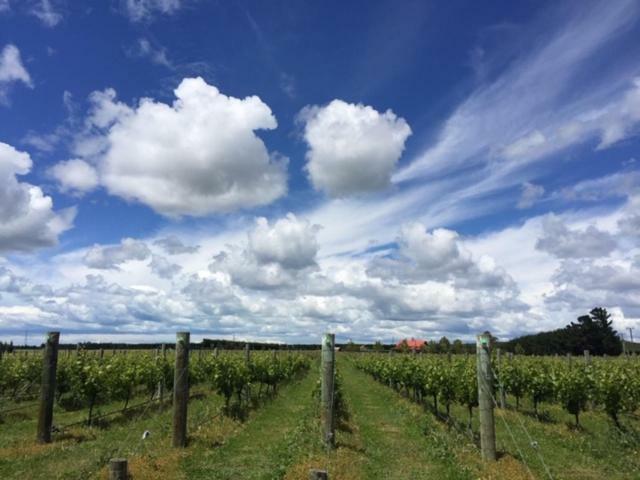 Romantic Vineyard Getaway Waipara ภายนอก รูปภาพ