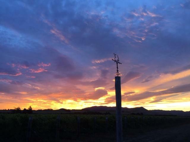 Romantic Vineyard Getaway Waipara ภายนอก รูปภาพ