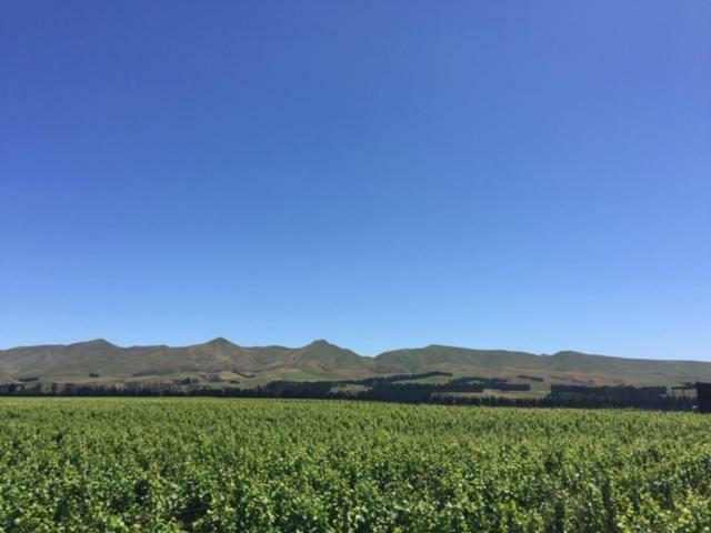 Romantic Vineyard Getaway Waipara ภายนอก รูปภาพ