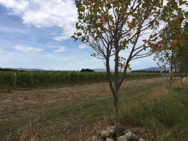 Romantic Vineyard Getaway Waipara ภายนอก รูปภาพ